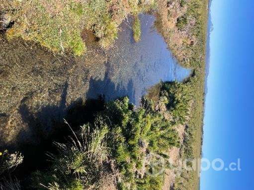 Terreno lonquimay - Imagen 10