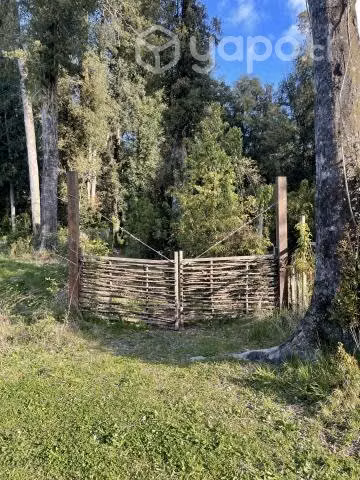 Vendo Hermosa Parcela en Km 20 Ruta 225 Pto. Varas - Imagen 5