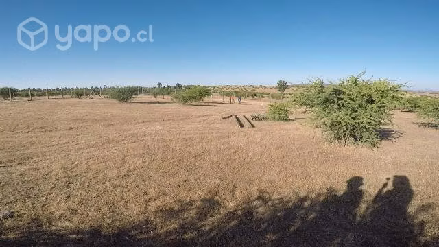 Hermosa parcela de agrado en El Sauce,Marchigue