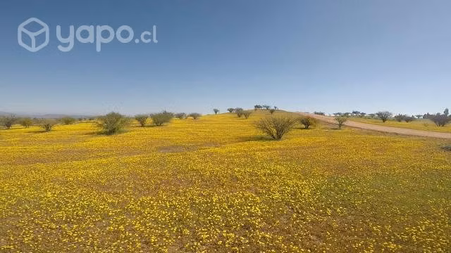Hermosa parcela de agrado en El Sauce,Marchigue