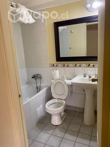 Arriendo casa bellavista - Imagen 3