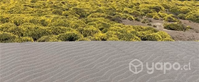 Derechos de terreno en la Trinchera