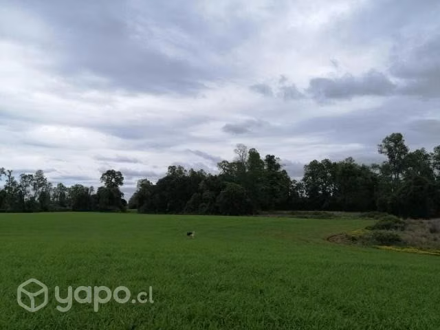 Se vende campo
