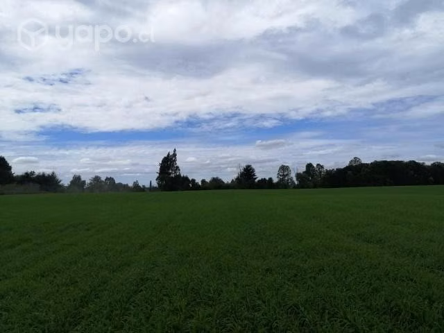 Se vende campo