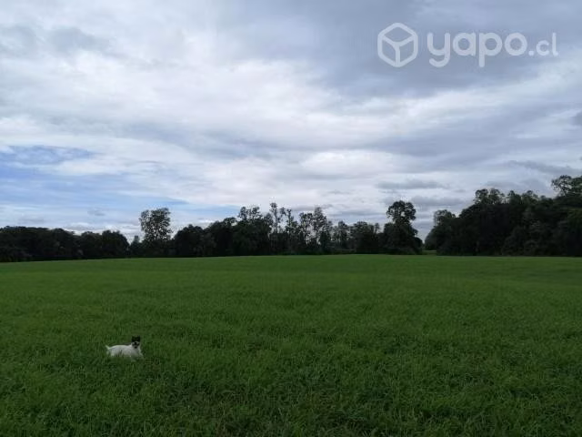 Se vende campo