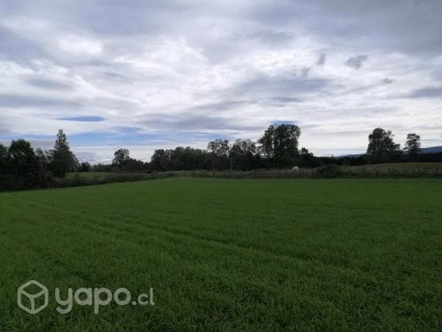 Se vende campo