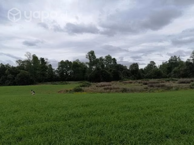 Se vende campo