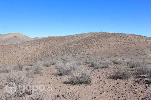 Terreno en andacollo