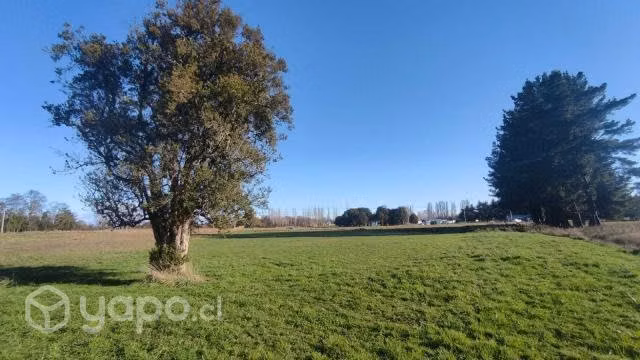 Parcela Altos de Mulpulmo - Imagen 4