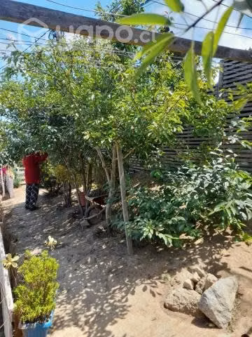 Se vende propiedad en el Tabo - Imagen 9