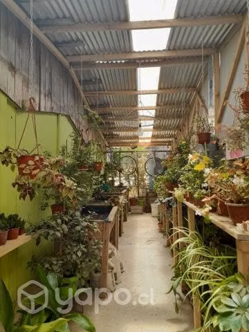 Se vende propiedad en el Tabo - Imagen 4
