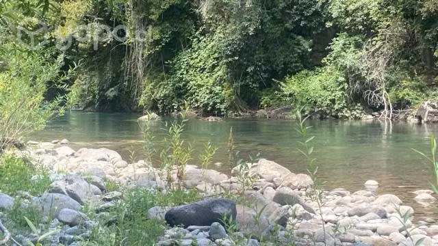 Atencion Invierta Parcela Orilla Rio Trancura - Imagen 13