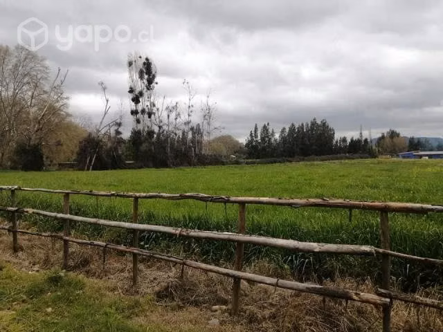 Parcela Condominio cerrado Pichidegua