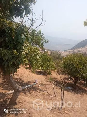 Se vende parcela en Olmué alto sector las palmas