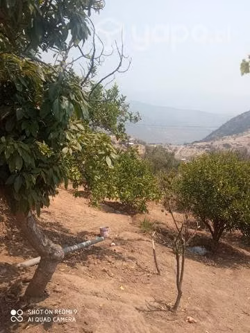 Se vende parcela en Olmué alto sector las palmas