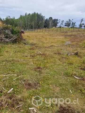 Parcela en Chiloé