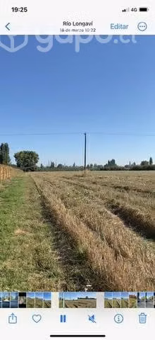 Venta de Parcela de 5.000 metros