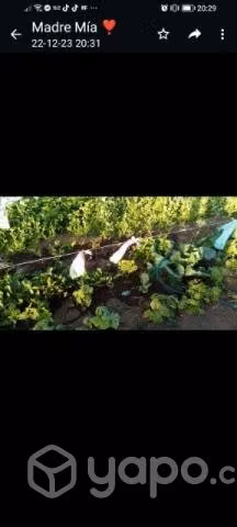 Terreno chileno 1.4 hectárea