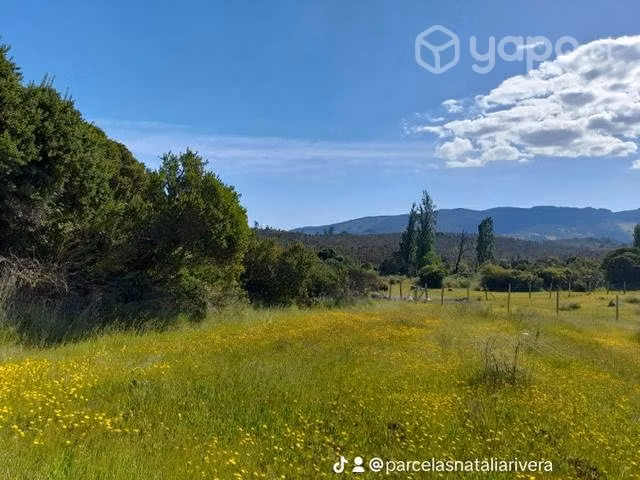 Parcelas praderas de san carlos, con luz y agua