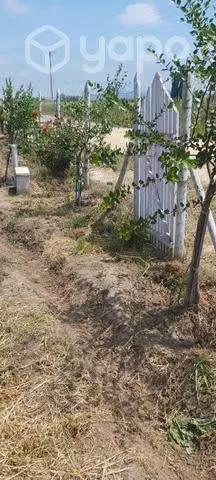 Parcela de agrado