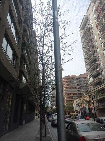 Espectacular Departamento calle Lira - Imagen 12