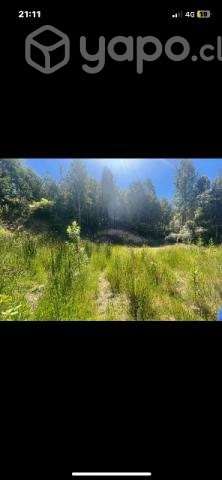 Terreno cruce Pucatrihue - Imagen 2