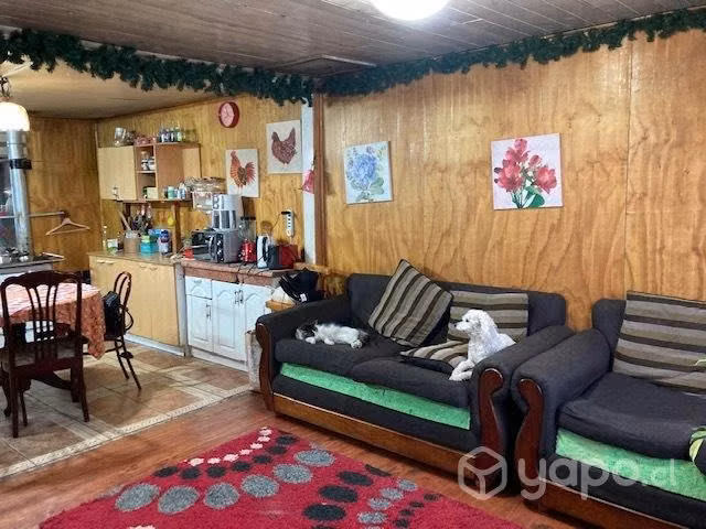 Casa y cabaña en Valdivia - Imagen 3