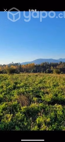 Se vende terreno en el campo