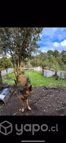 Venta de casa - Imagen 6