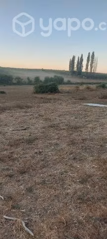 Terreno agricola