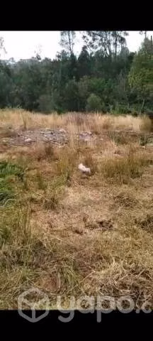 Sitio