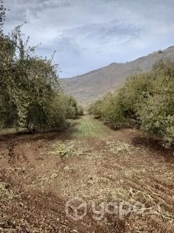 Parcelas planas TilTil Región Metropolitana