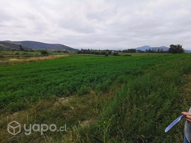 Parcela 1.2 ha. en condominio cerrado. Melipilla Huechun.