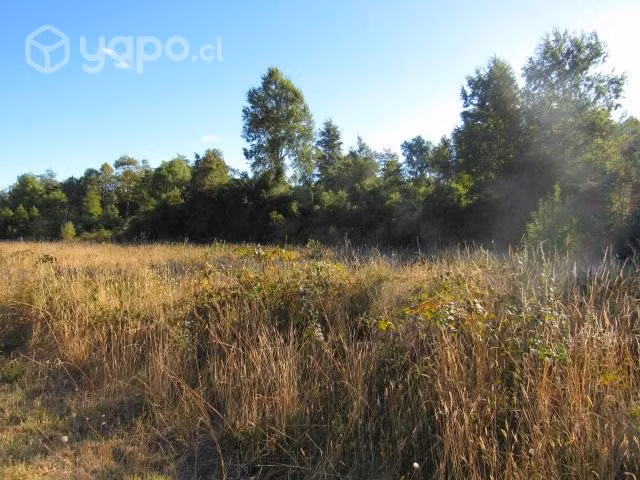 Venta de hectárea - Imagen 4