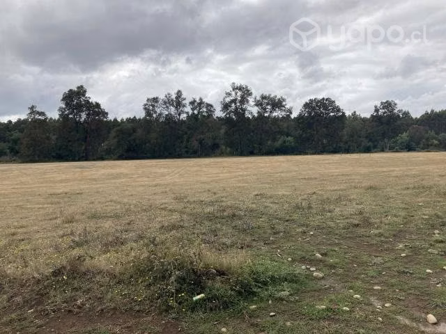 Parcelas Traiguen Lote B-5