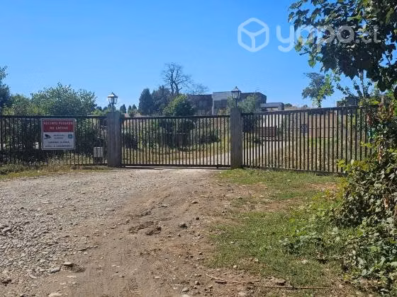 Parcela las mariposas