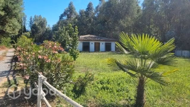 Vendo