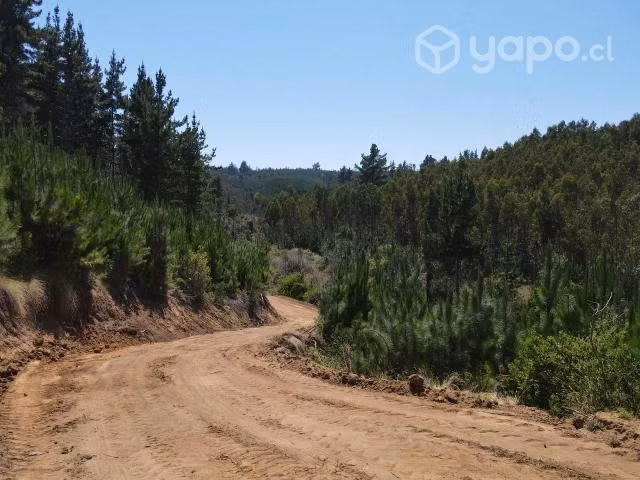 Sitio Loteo Alto Polcura Puertecillo - Imagen 19