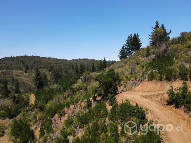 Sitio Loteo Alto Polcura Puertecillo