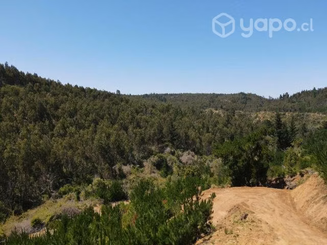 Sitio Loteo Alto Polcura Puertecillo - Imagen 7