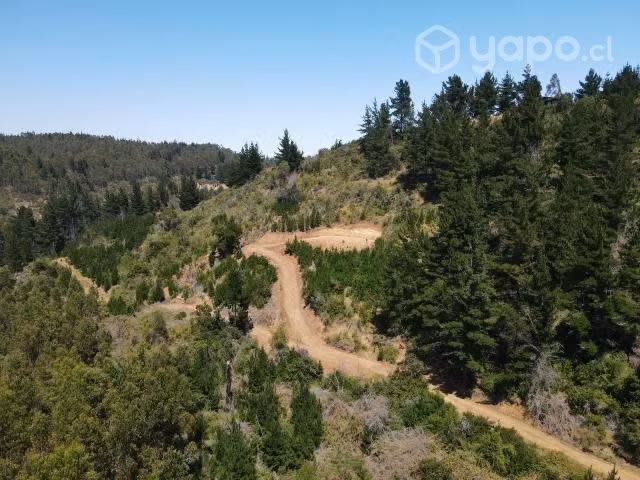 Sitio Loteo Alto Polcura Puertecillo - Imagen 15