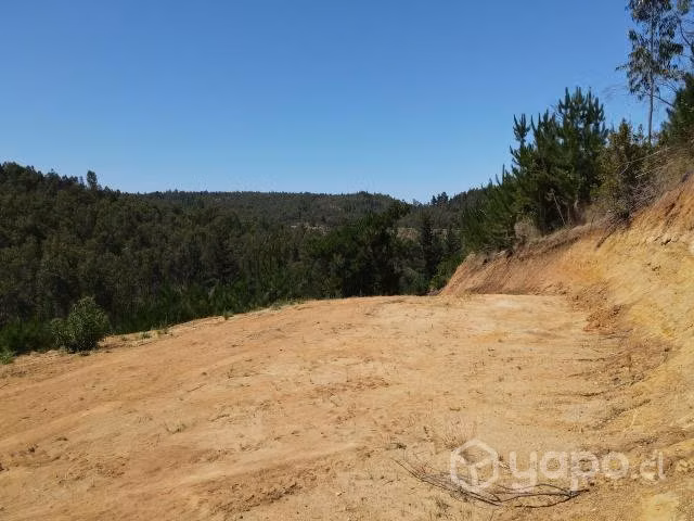 Sitio Loteo Alto Polcura Puertecillo - Imagen 6