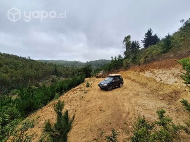 Sitio Loteo Alto Polcura Puertecillo - Imagen 17