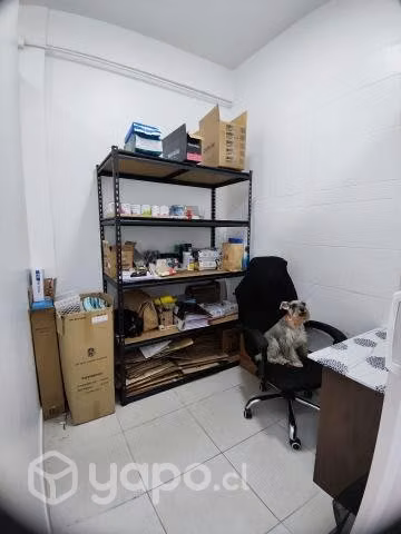 Se vende derecho a llaves de tienda de mascotas
