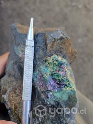 Mina de Cobre/Plata en Petorca