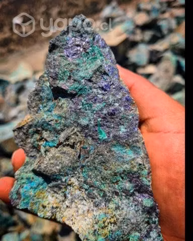 Mina de Cobre/Plata en Petorca