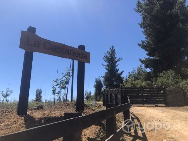Parcela de agrado Molina