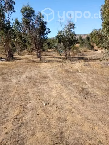 Vendo terreno en pumanque 5000m2