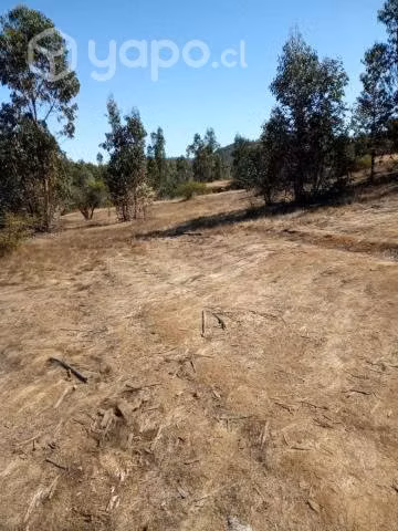 Vendo terreno en pumanque 5000m2