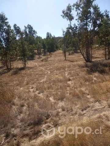 Vendo terreno en pumanque 5000m2